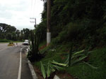 Poste caiu na rodovia que d acesso a Bombinhas  provocando blecaute na noite de domingo