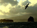Episdio 1 - Ilha Terceira