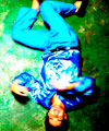 Divulga��o