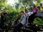 Em todas as atividades desenvolvidas pelo projeto, as lies relacionam a vida na natureza aos valores essenciais para o convvio em sociedade