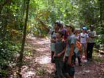 Alunos participaram de caminhada dentro da mata