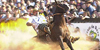 Ag�ncia RBS