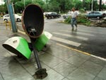 Orelhes foram arrancados no centro de Ararangu