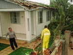 rvore quase caiu sobre casa no bairro Santa Augusta, em Cricima 