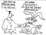 Cao - Jornal de Santa Catarina, 11/04/2009