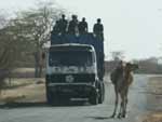Expedio frica: Senegal