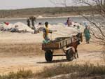 Expedio frica: Senegal