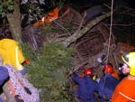 Os turistas da terceira idade estariam voltando de Balnerio Cambori