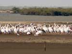 Belezas naturais de Senegal