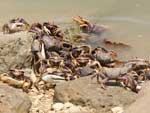 Belezas naturais de Senegal