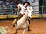 Segundo Lugar Fmeas: Para Siempre do Barulho, da Cabanha La Passion, de Barra do Quara (RS), montada pelo ginete Luiz Nunes