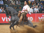 Segundo Lugar Machos: Los Hermanos Cimarron, da Fazenda Capo da Lagoa e da Cabanha do Pontal, de Cidreira e Arambar (RS), montado pelo     ginete Jos Fonseca Macedo    