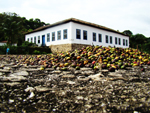 No cho prximo  casa sede da Fazenda Taquara, pode-se ver caf