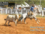 Silvano Jol Modinger fotografou seu cavalo 33 Borracho, de cinco anos. O animal  filho do campeo do Freio de Ouro de 1996, Debochado do Quartel Mestre, e est montado pelo treinador Mauro Pacheco no Rodeio Internacional do Mercosul, realizado em Gravata (RS)