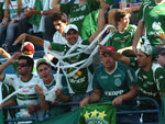 Torcida da Chapecoense esquenta a arquibancada