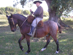Emerson Carlotto Silveira montando Tumbeiro das guadas na Hospedaria Taquaral