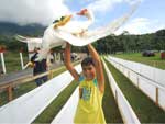 Pato Massa foi o grande vencedor da 8 edio da Festa
