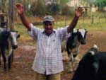 Agricultor comemora a chegada da chuva em So Gabriel
