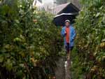 Imagens da chuva em Caxias do Sul
