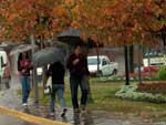 Imagens da chuva em Caxias do Sul