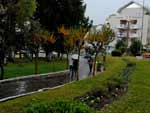 Imagem da chuva em Flores da Cunha