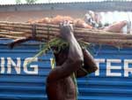 Expedio frica: festival Aboakyer