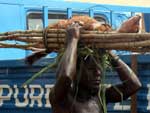 Expedio frica: festival Aboakyer