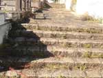 Leitora de AN manda fotos para mostrar o estado do cemitrio municipal de Joinville