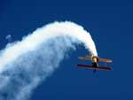 Os visitantes observaram acrobacias realizadas por pilotos de todo o Estado