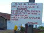 Temporada farta da tainha  a grande expectativa da pesca artesanal na Interpraias, em Balnerio Cambori