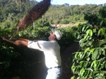 Colheita de caf na Fazenda Santa Ceclia