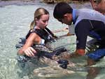 &quot;Indo a Alagoas, no deixe de mergulhar em Maragogi. As piscinas naturais so belssimas com muitos peixes coloridos&quot;