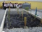 Escola Bernardo Tank apresenta projeto ambiental