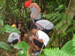 Escola Bernardo Tank apresenta projeto ambiental