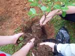 Escola Hermann Muller apresenta projetos ambientais