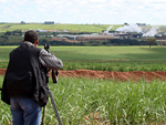 Gravando na usina Alto Alegre, em Presidente Prudente (SP)