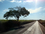 BR 267, no trajeto entre Presidente Prudente (SP) e Dourados (MS)
