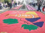Tapetes em Flores da Cunha