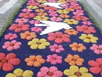 Tapetes em Flores da Cunha
