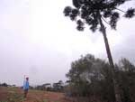 A rea de 10 hectares de seu Edvino j no  mais suficiente para manter a famlia
