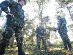 Polcia Ambiental mostra quais so as reas onde a situao  mais agravante