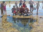 &quot;Piscina natural de Porto de Galinhas no formato do mapa do Brasil&quot;