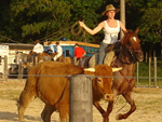 Esta  minha filha Juliana Vidal com seu cavalo crioulo Vinagre, mostrando a fora de uma catarina no lao 