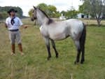 Aqui estoy con mi caballo Andariego La Serranera rp 01, hijo de Mogambo La Invernada en la ciudad de Melo