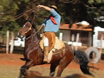 Laador canhoto campereando gado na pista de tiro de lao