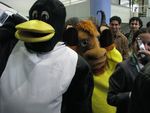 ...e sai danando