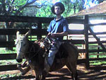 Domando e ouvindo a Radio Rural