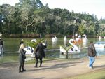 Turistas aproveitam para fotografar e andar de pedalinhos na tarde de sol