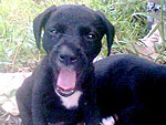Borys com sono