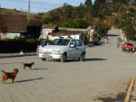 Mirim Doce cidade do Alto Vale do Itaja com 2.545 habitantes.